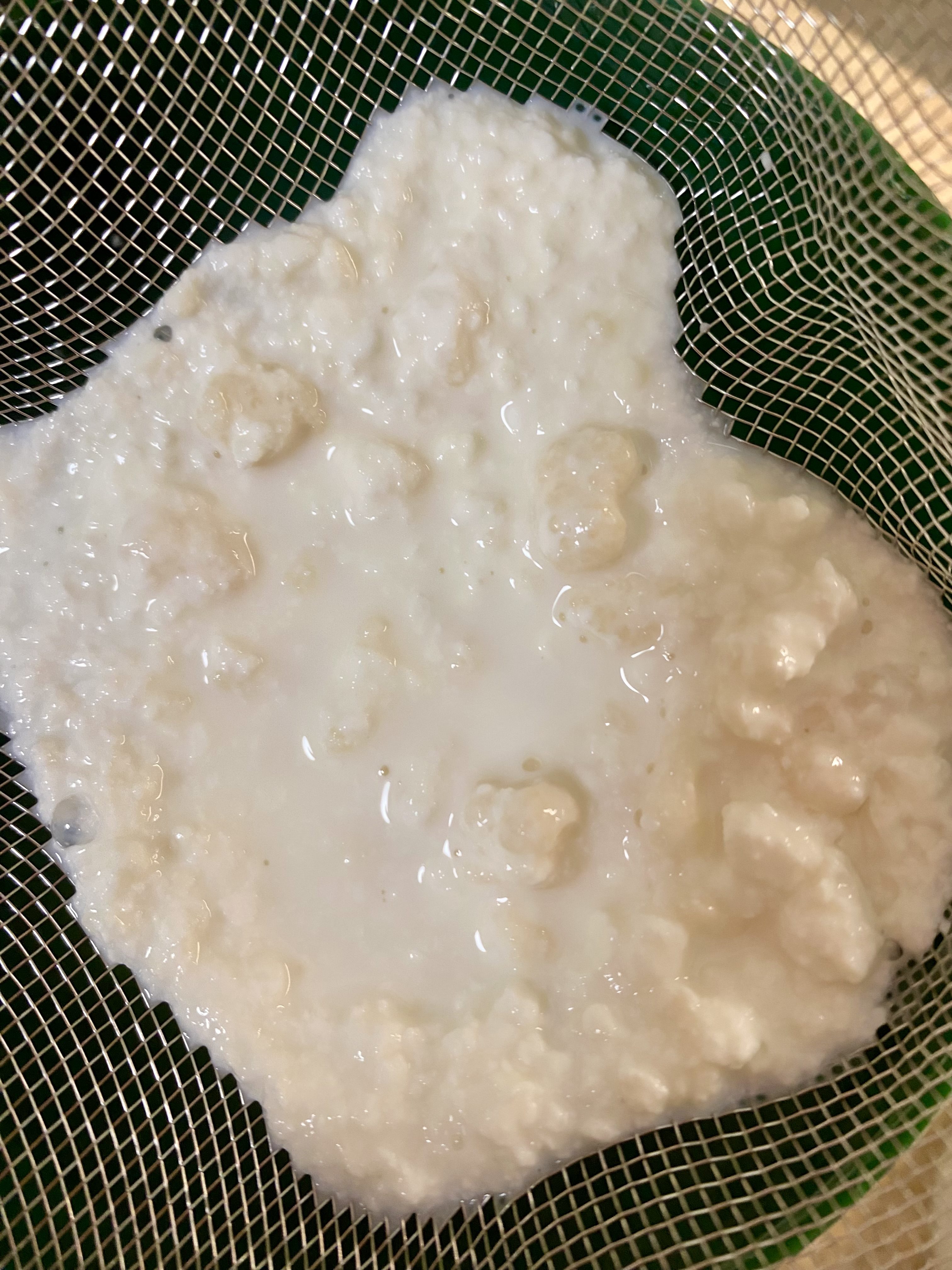 Homemade Milk Kefir: A Beginner-Friendly Guide