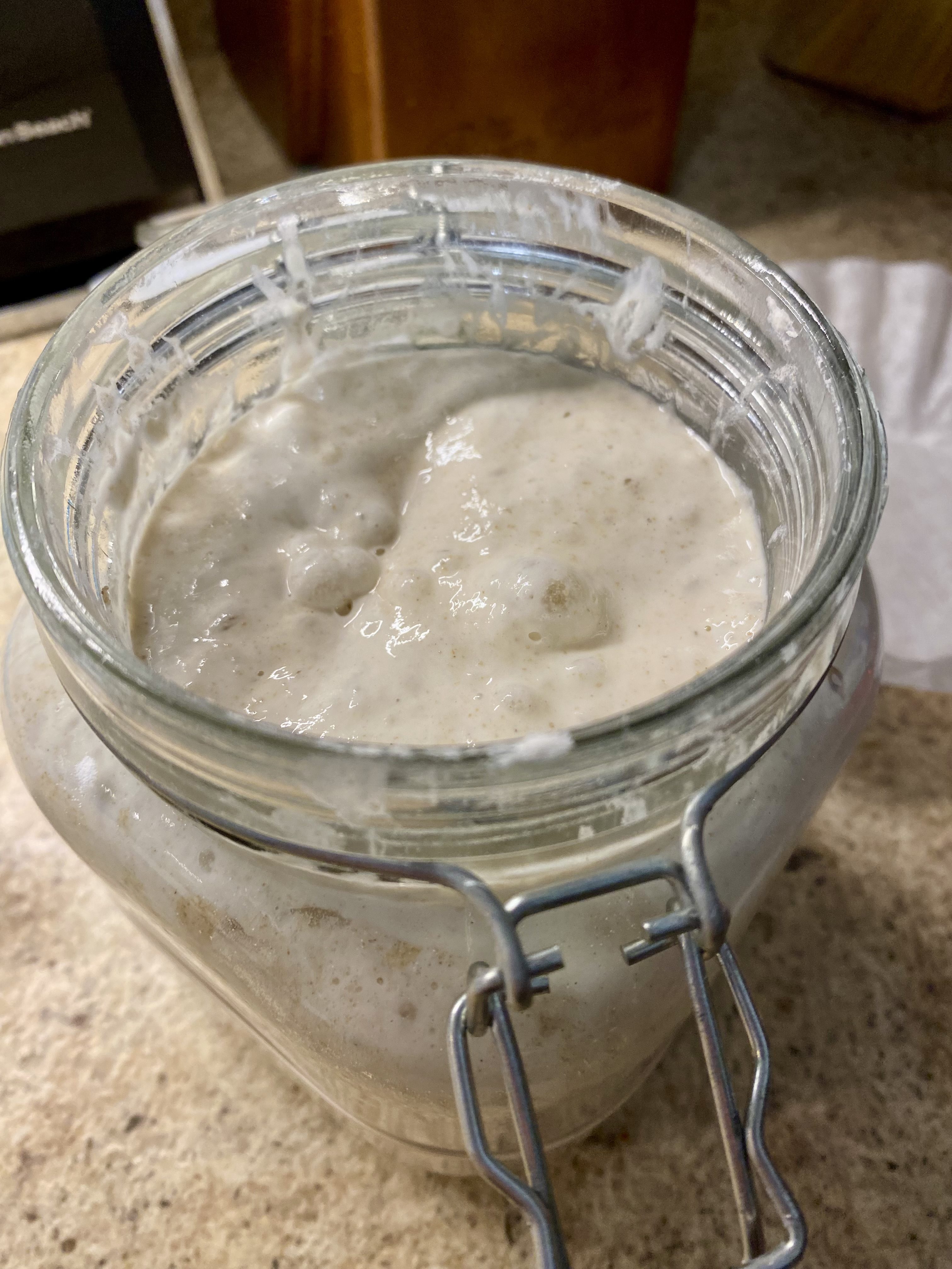 Sourdough starter in jar